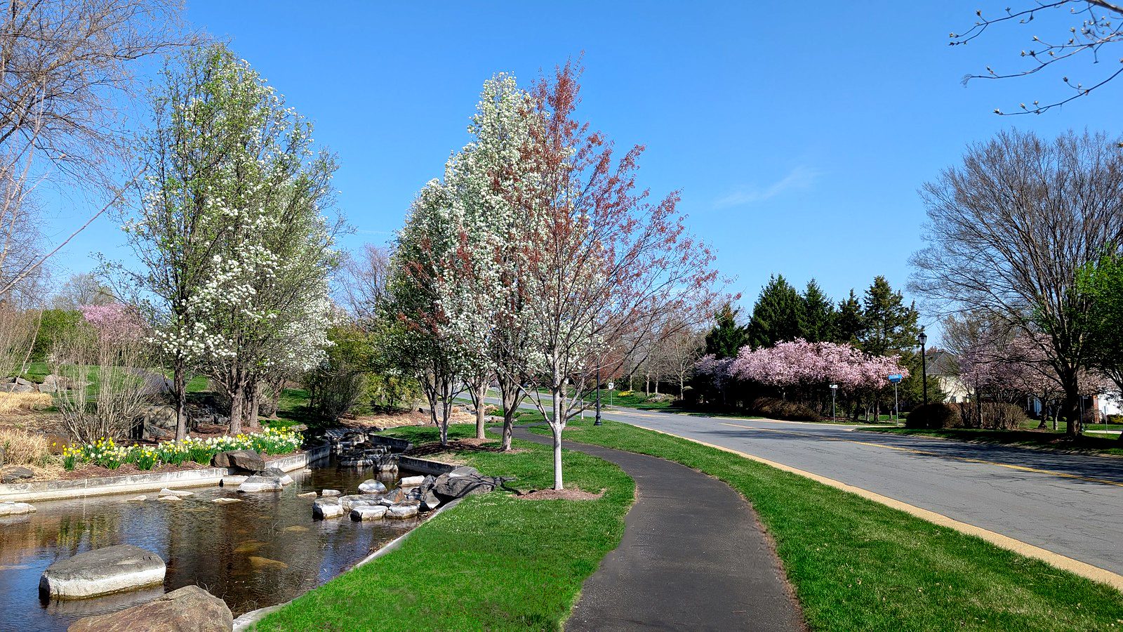 54418790977_ba07cff303_h