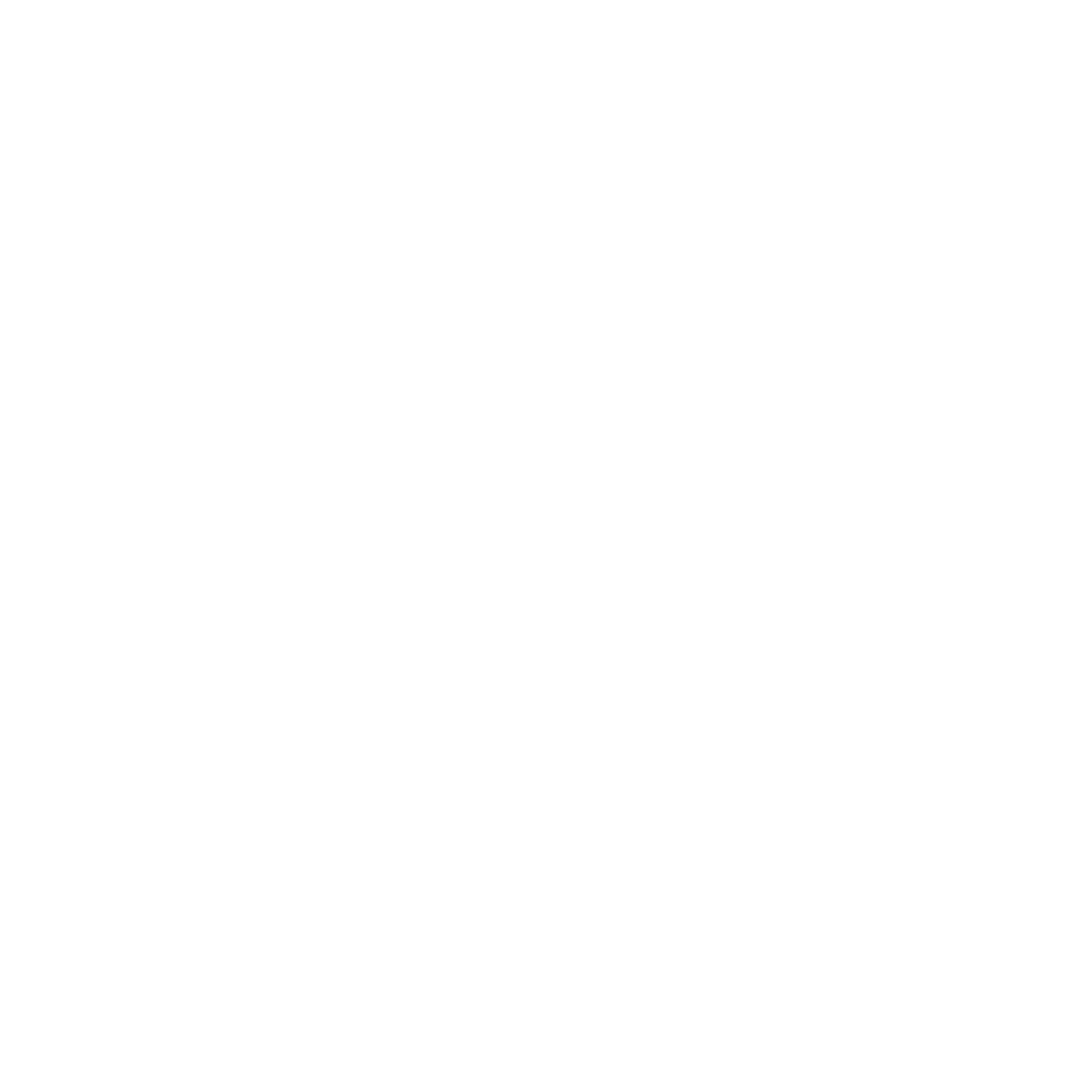 StoneRidge_Icon_White